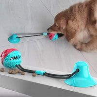 Pet Suction Chew Toy